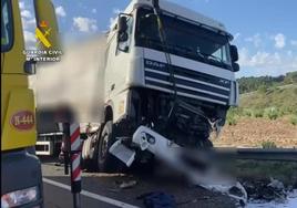 Imagen del camión accidentado.