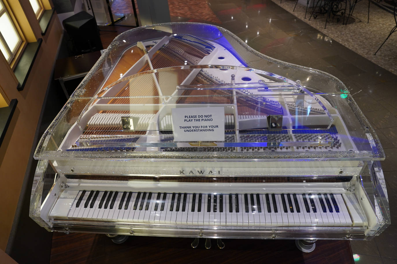 Así el MSC Fantasia, el colosal crucero que ha llegado a Getxo