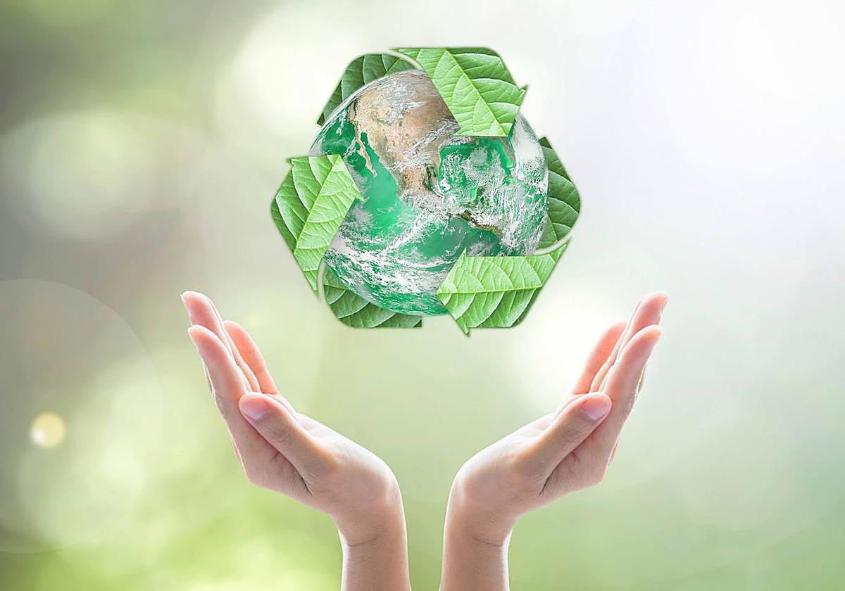 Residuos: gestión responsable frente a técnica del avestruz