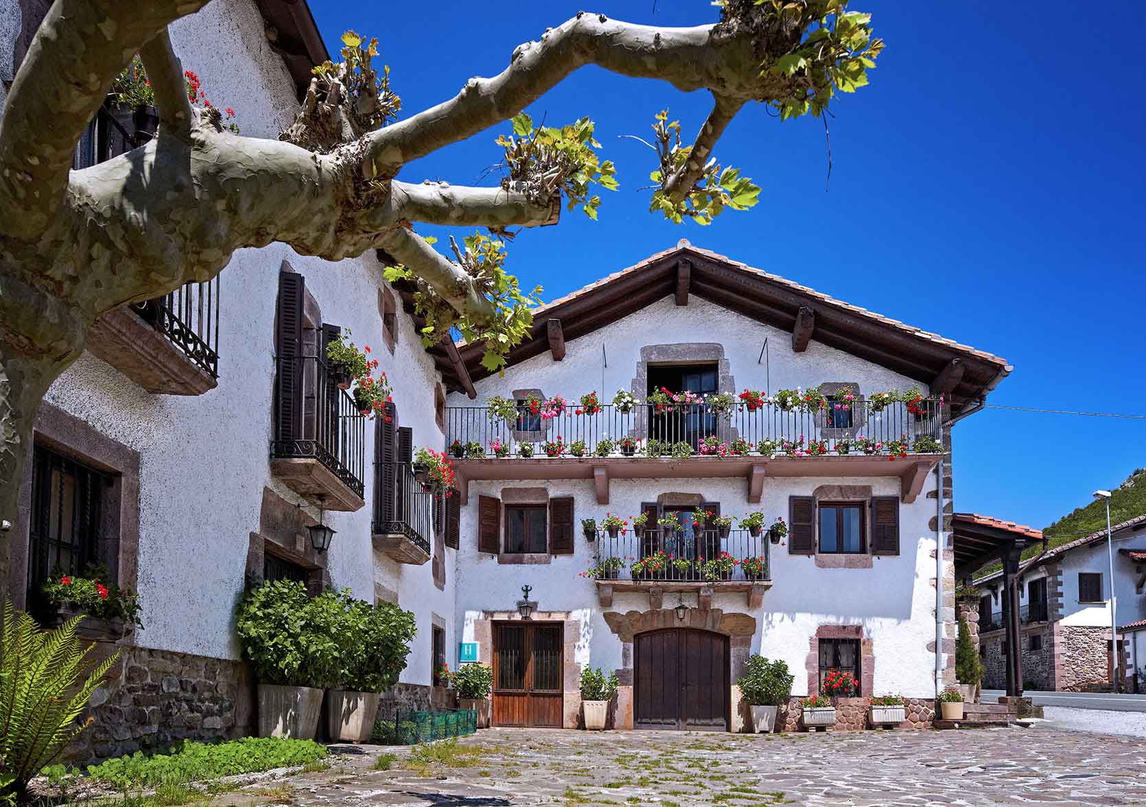 Viaje al pasado con guisos en la económica de leña