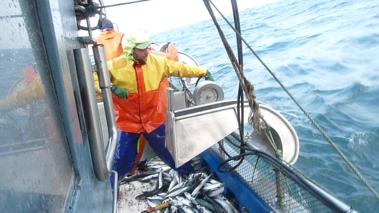 Un arrantzale de bajura en plena faena durante la costera del verdel.