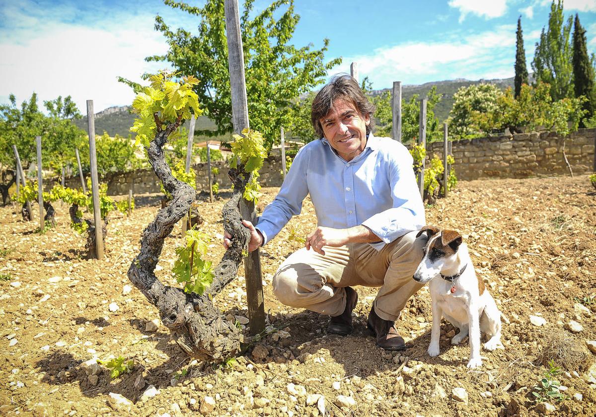 Telmo Rodríguez, con su perra, en un viñedo de la Granja de Remelluri, en Labastida.