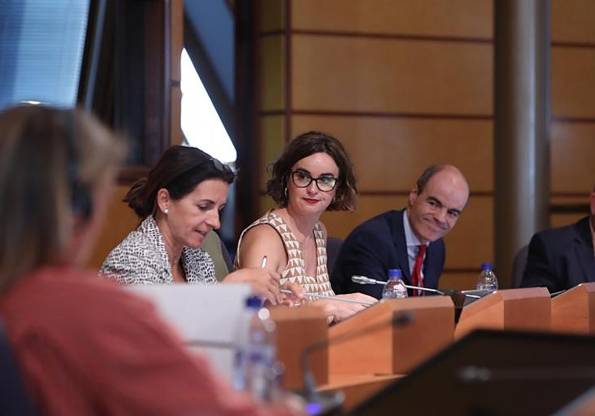 Etxanobe, durante su comparecencia en las Juntas