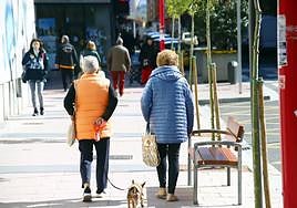 32.000 mayores de 85 años viven solos en Euskadi