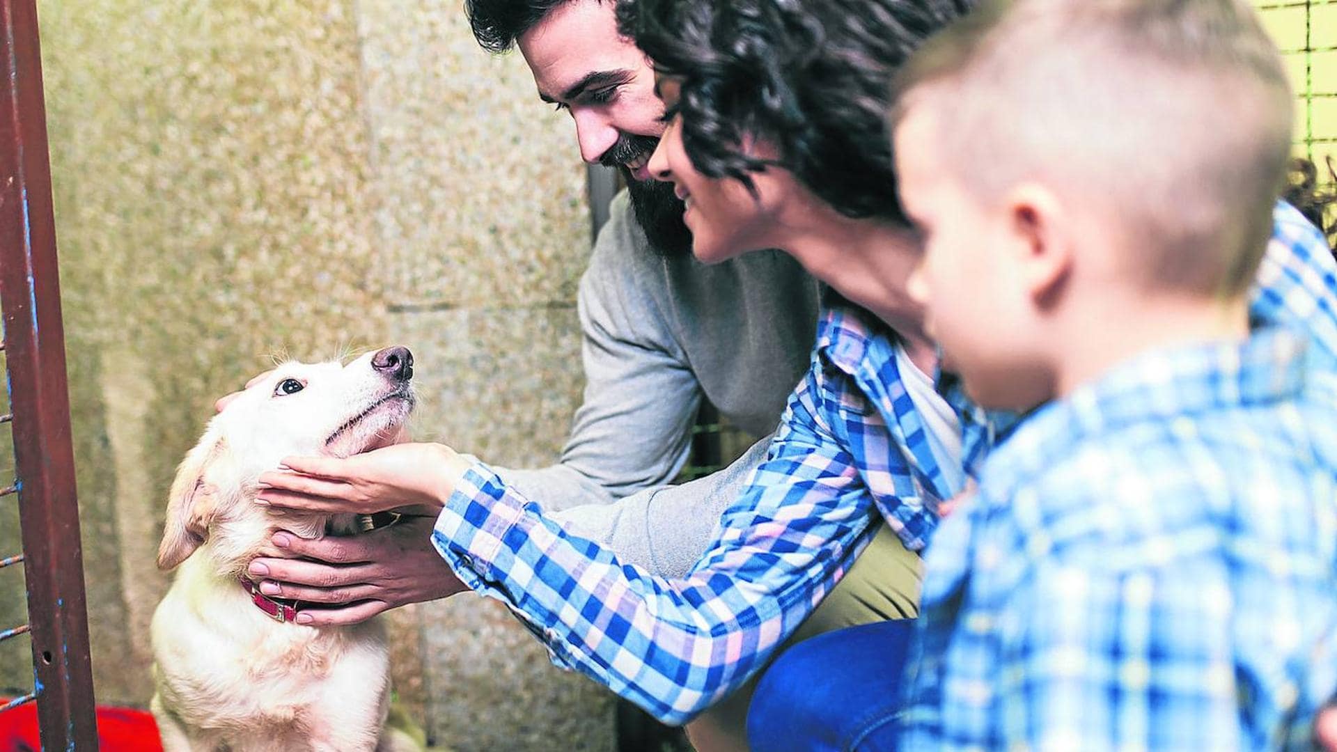 Jon Uriarte: Si va a hacer falta un curso para tener perro, ¿por qué no se  exige un examen obligatorio para tener hijos? | El Correo