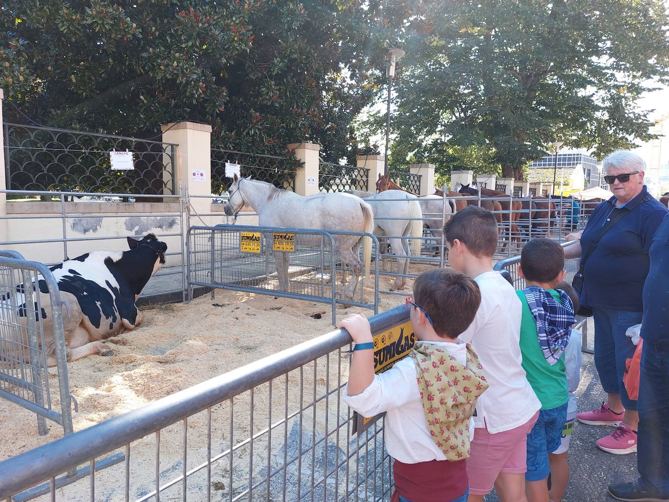 Varios niños observando vacas y caballos en las cercanías de los jardines del Ayuntamiento