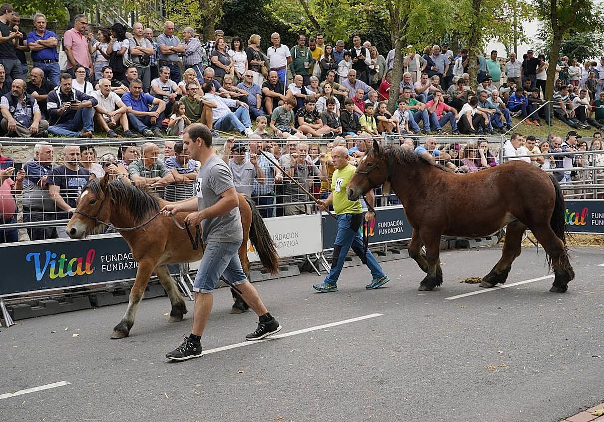 Miles de curiosos de la provincia y otros puntos del País Vasco se acercaron a la villa de la Llanada.