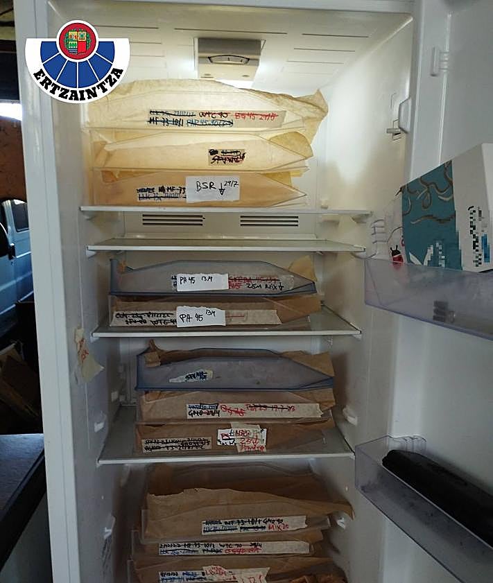 Imagen secundaria 2 - Destapan una plantación-laboratorio de marihuana en un caserío de Álava