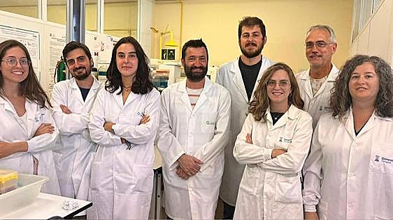 Descubren una terapia eficaz contra los tumores de pulmón