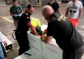Intervienen más de 23 kilos de cogollos de marihuana en el Puerto de Bilbao