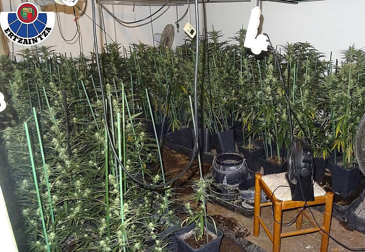 La vivienda tenía equipos de iluminación y ventilación, entre otros.