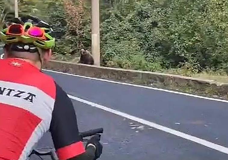El sorprendente encuentro de cuatro ciclistas vizcaínos con un oso en Rumanía