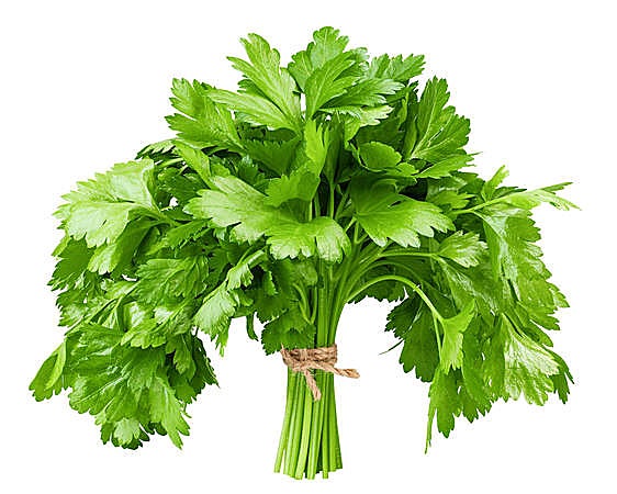 Cilantro, la hierba 'hereje' que o se ama o se odia