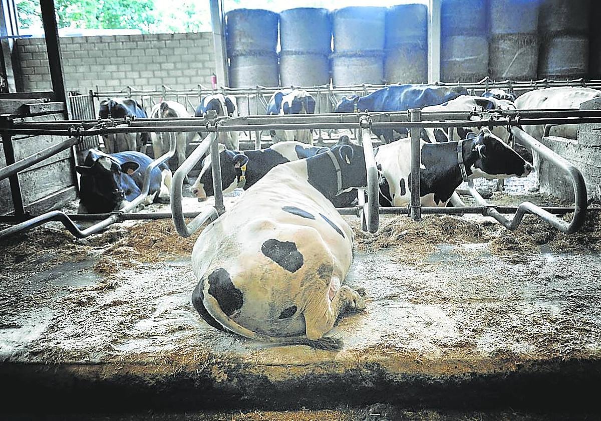 Euskadi espera recibir 42 millones a través de las ayudas europeas.