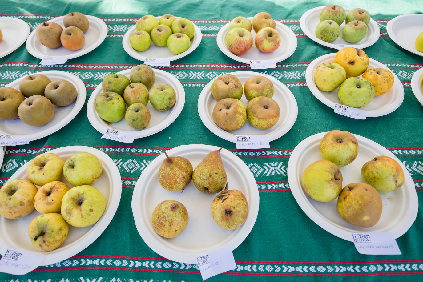 De Vitoria a Bruselas por «un sistema alimentario bueno, limpio y justo»