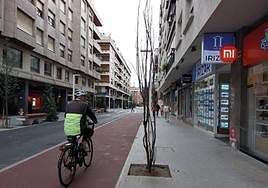 Los árboles fueron plantados con la renovación de la plaza de La Estación, que se inauguró hace unos ocho meses.