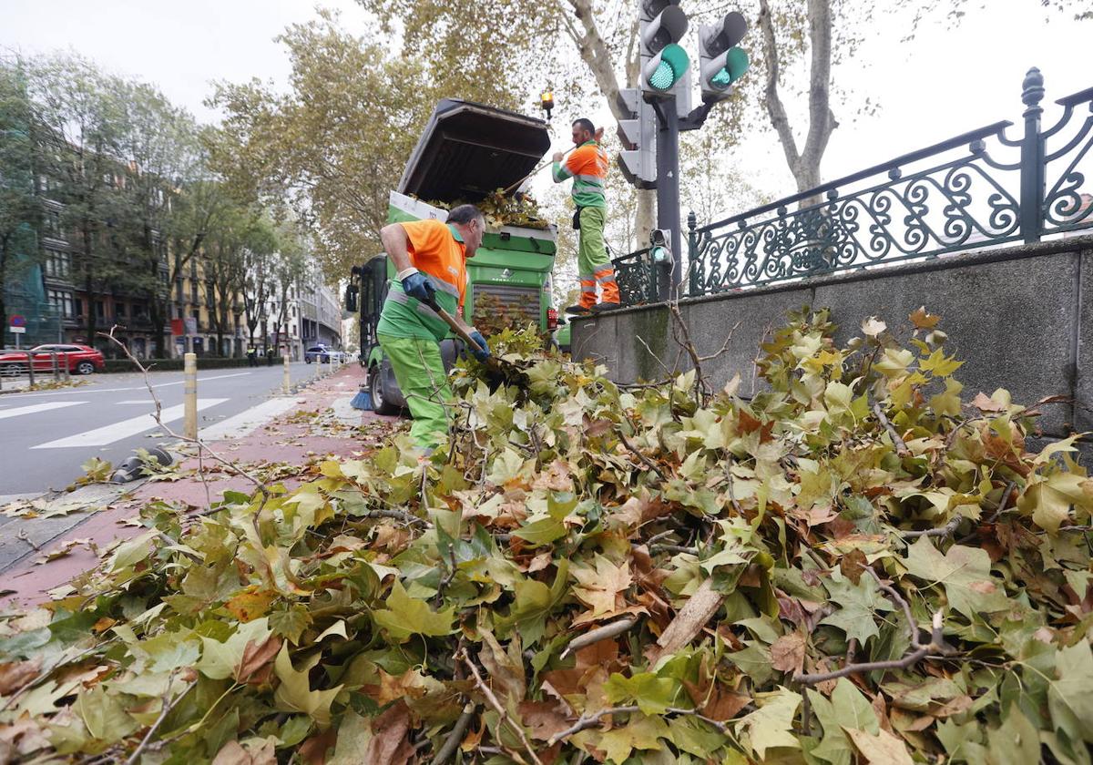 Restos de vegetación arrancada por el temporal en Bilbao.