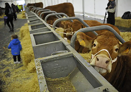 'Zamudioko Azoka' acogerá este fin de semana más de 90 puestos con lo mejor del agro vasco