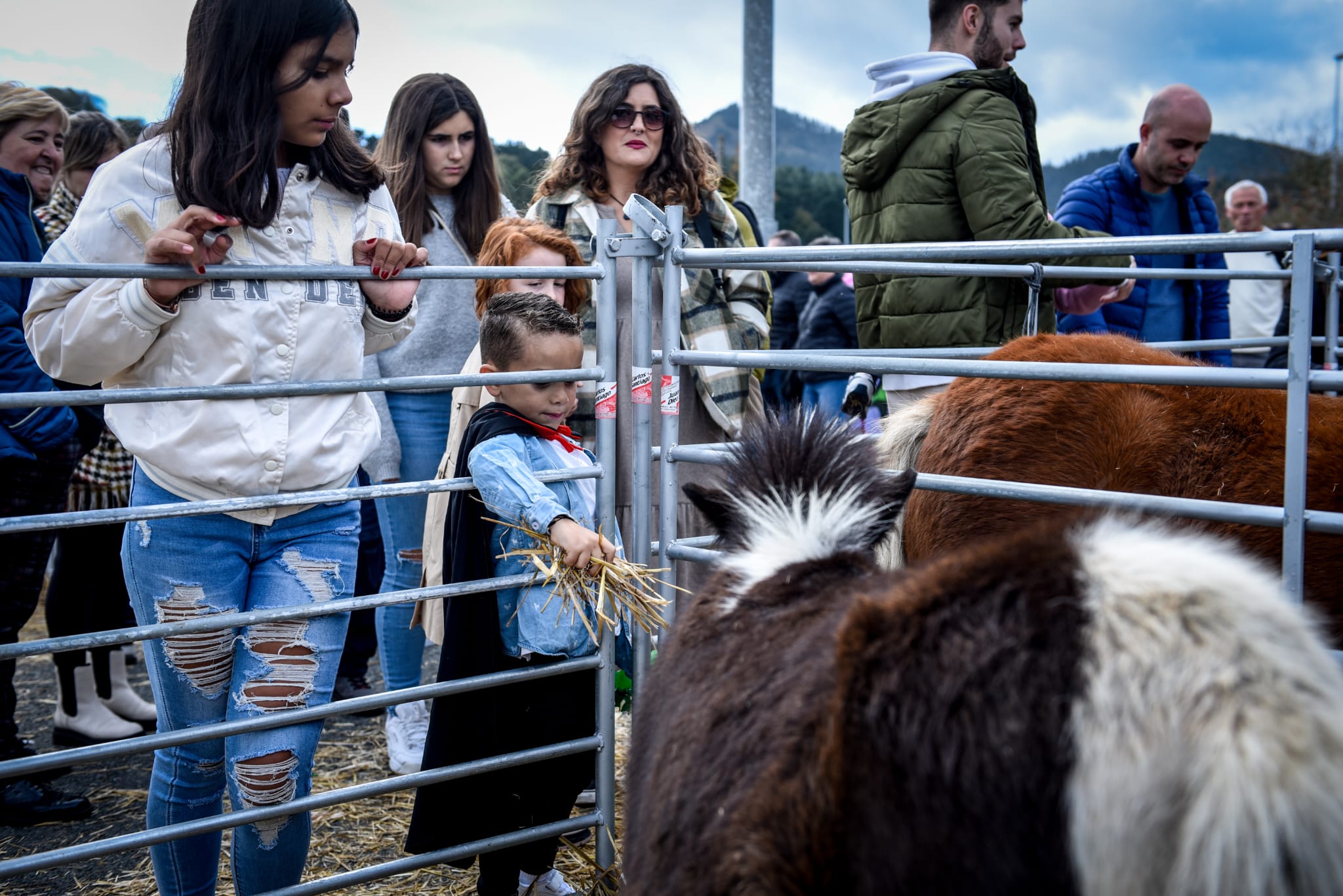 Feria agrícola y ganadera de La Arboleda en imágenes