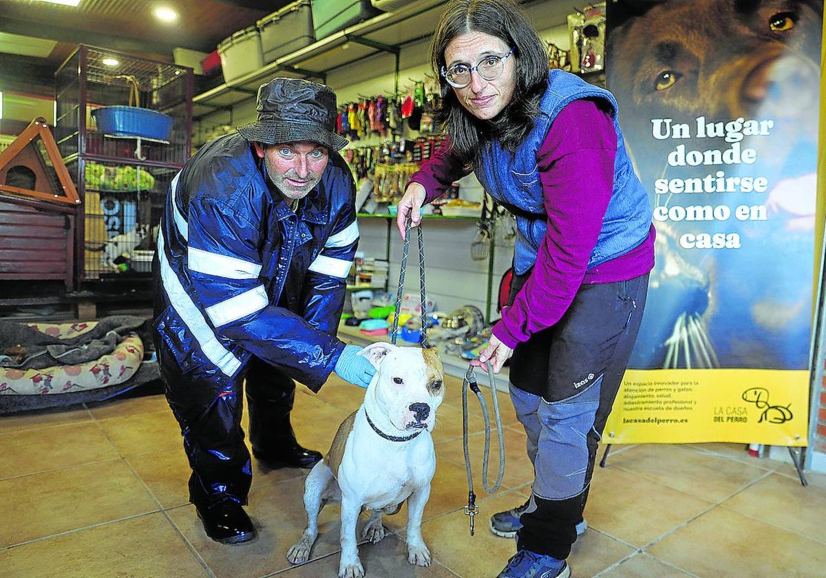 cuanto tiempo duran las licencias para perros