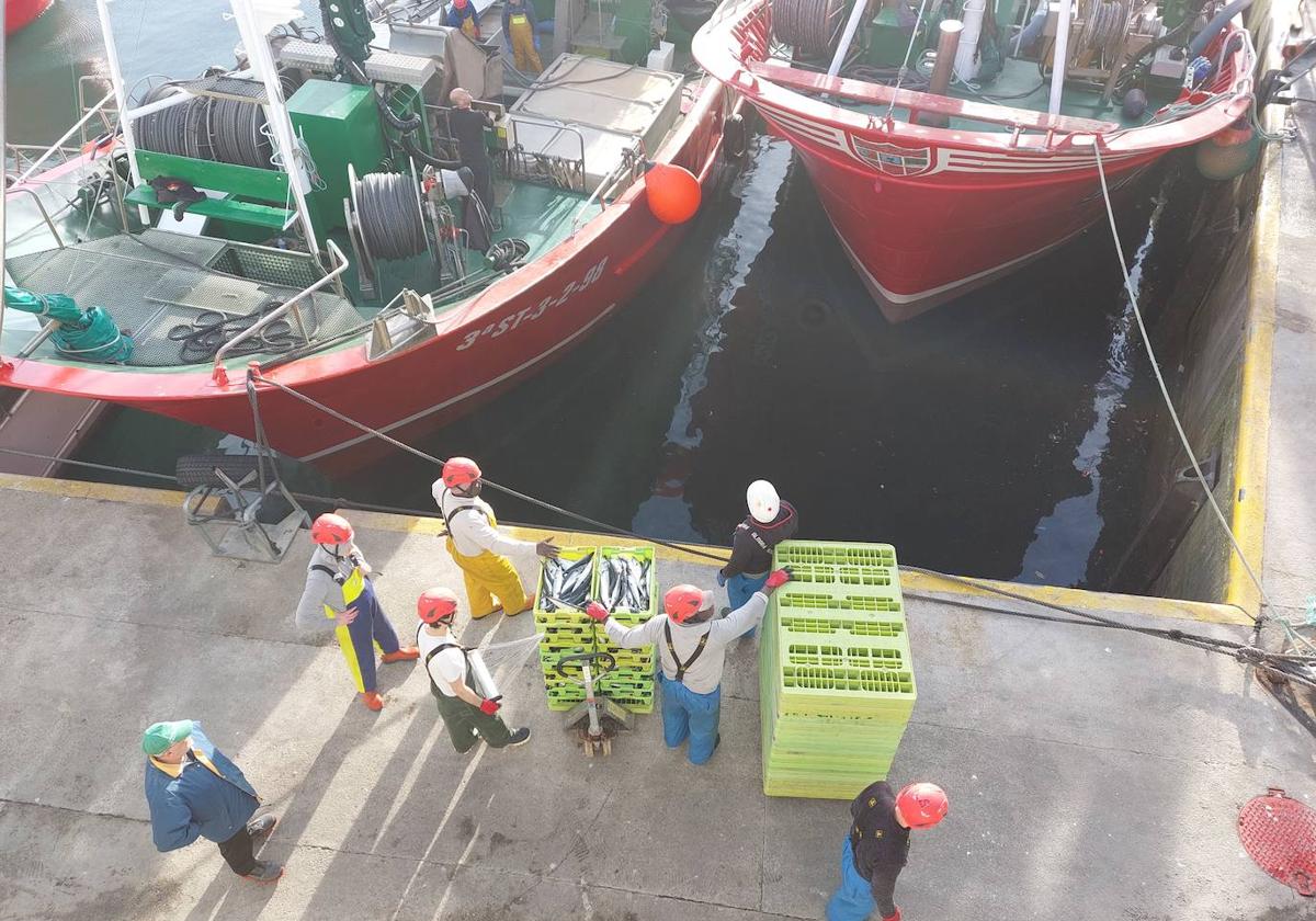 Fallece un pescador en Ondarroa al caer al agua cuando saltaba desde el barco al puerto