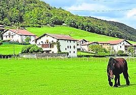 Enormes caserones con sus inscripciones se pueden ver en la zona.