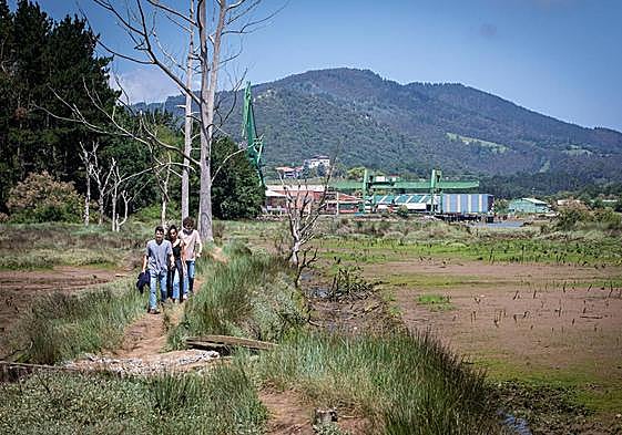 Varios jóvenes caminan por la marisma, con el astillero de Murueta al fondo, donde se quiere establecer una de las dos sedes.