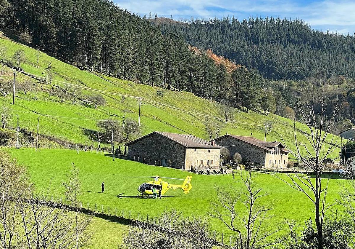 Los bomberos de Bizkaia han recibido el aviso alrededor de las 13 horas.
