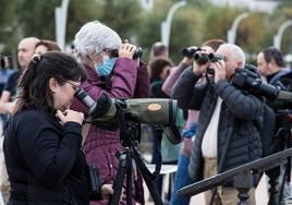 Podrán observarse anátidas, las gaviotas, garzas, limícolas o cormoranes, entre otros ejemplares