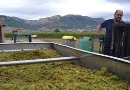 Vendimia en la bodega de Artomaña.