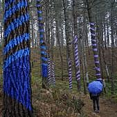 Árboles azules en el Bosque de Oma.