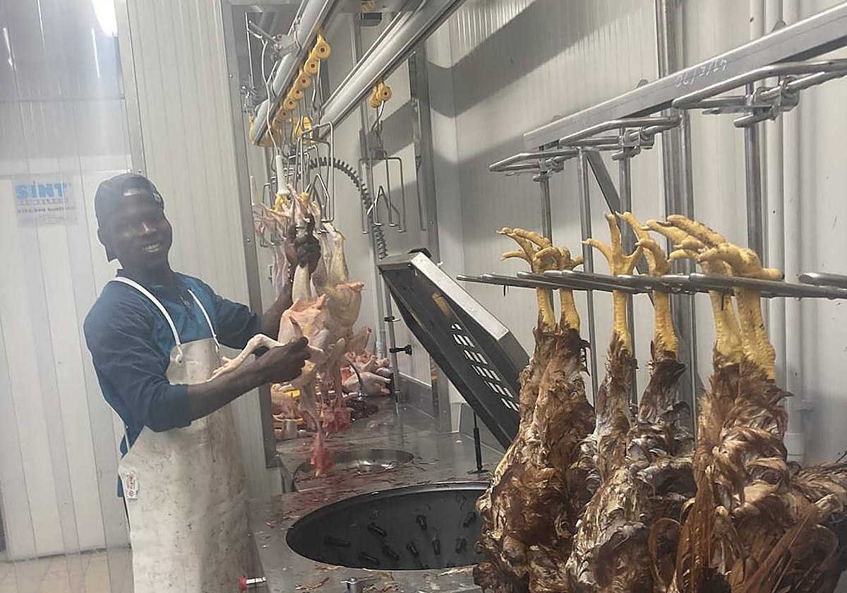 Uno de los trabajadores de la instalación, en plena faena.