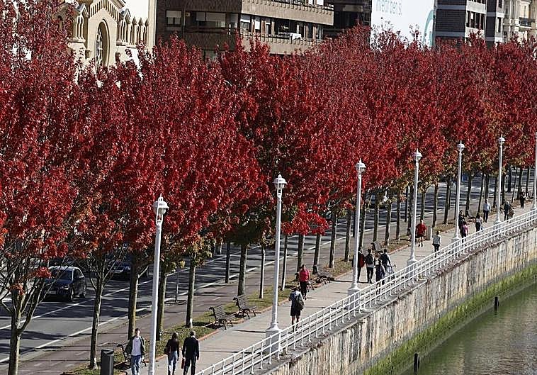 ¿Continuará los próximos días el tiempo otoñal?