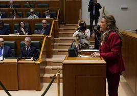 La consejera de Salud, Gotzone Sagardui, durante una comparecencia en el Parlamento vasco.