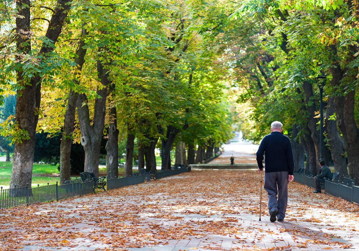 Plan de pensiones vasco para autónomos en 2024