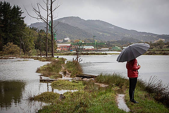Las marismas son uno de los recursos más destacados de la Rerserva de Urdaibai.