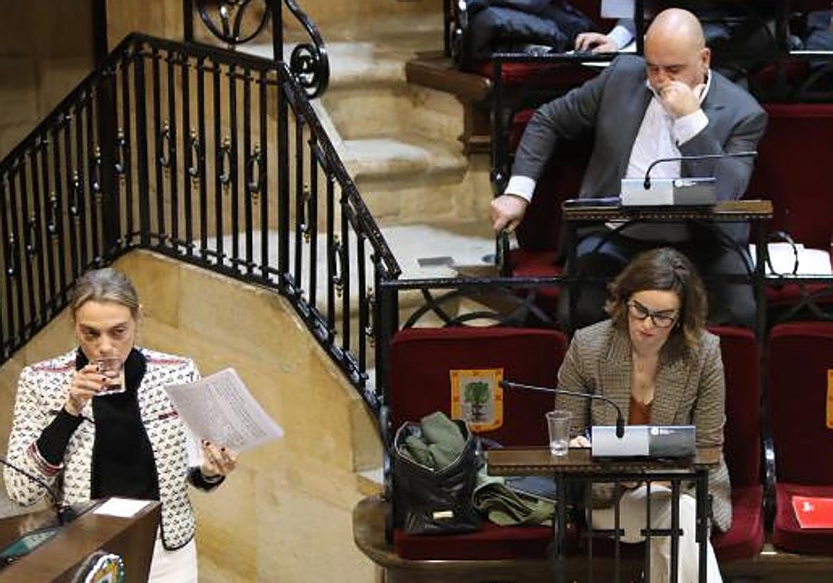 PNV y PSE aprobarán los Presupuestos de Bizkaia sin pactar con la ...