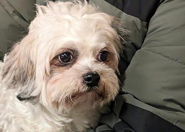 En la segunda foto la IA se ha encargado de añadir un cuerpo virtual.