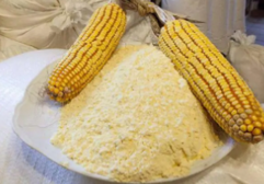 Harina de maíz: