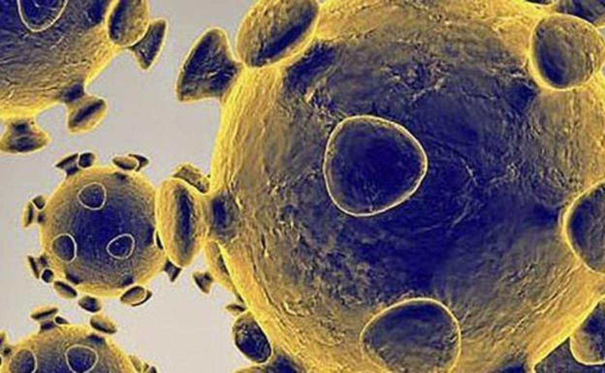 Nueva subvariante Ómicron (XBB.1.5) en Nueva York: Síntomas y casos en España