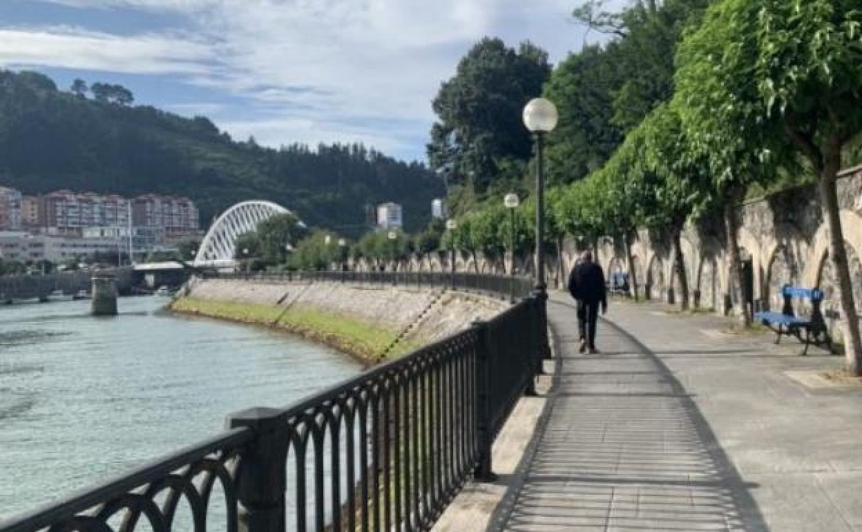 Un vecino paseo en solitario por la margen derecha de la ría Artibai a su paso por Ondarroa. 
