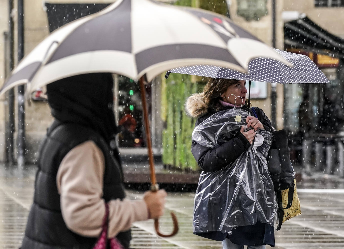 Fotos: Imágenes de la nieve en Álava