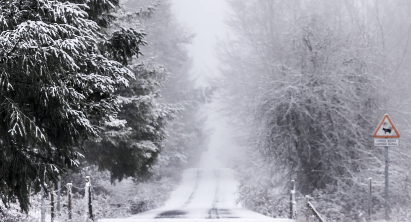 Fotos: Imágenes de la nieve en Álava