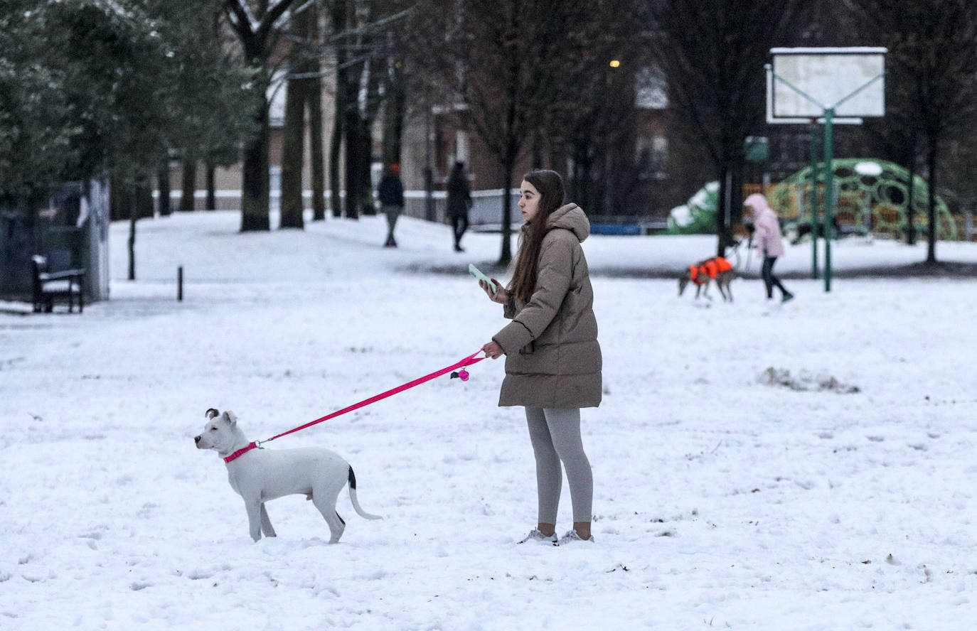 Fotos: Álava convive con la nieve en la segunda jornada del temporal