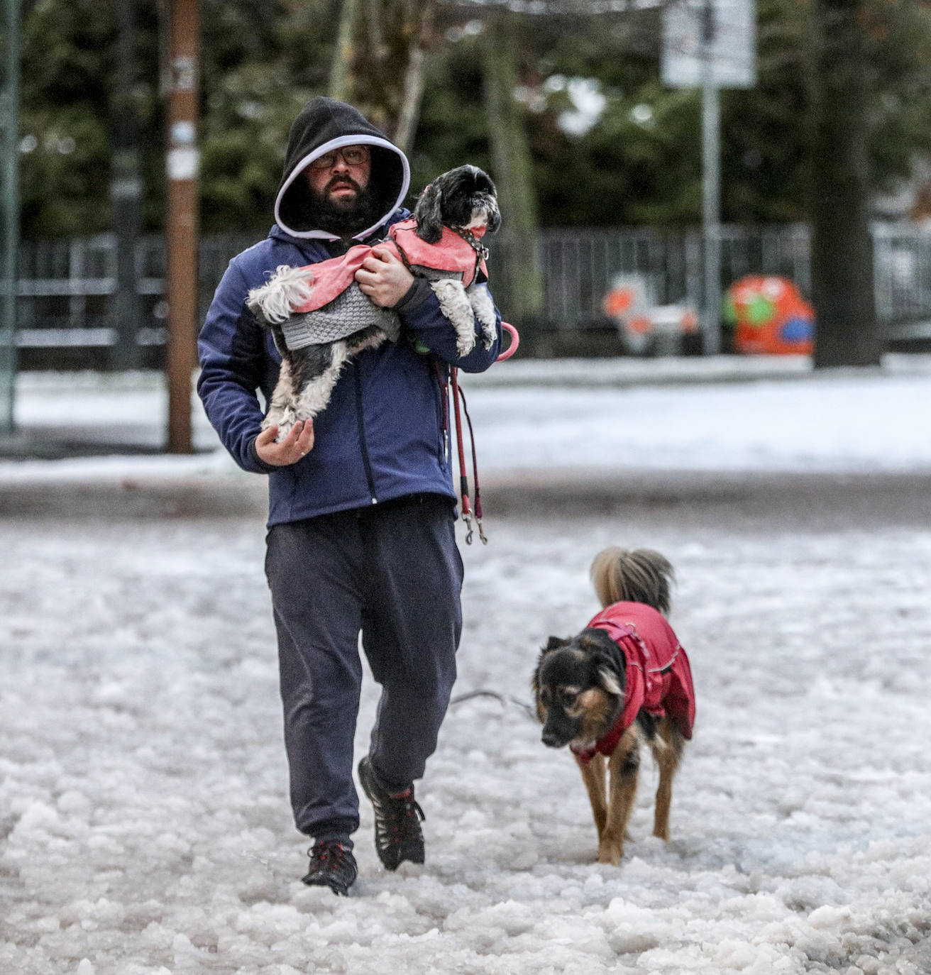 Fotos: Álava convive con la nieve en la segunda jornada del temporal