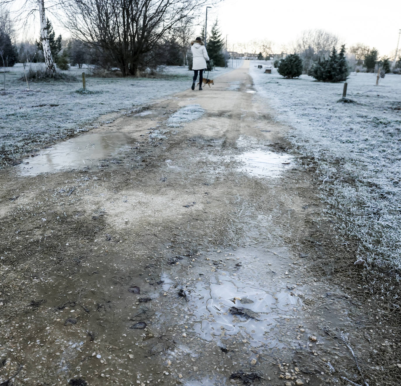 Fotos: Álava se congela con heladas y mínimas de hasta 8,6 grados bajo cero