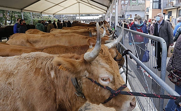 Imagen de la feria del pasado año. 