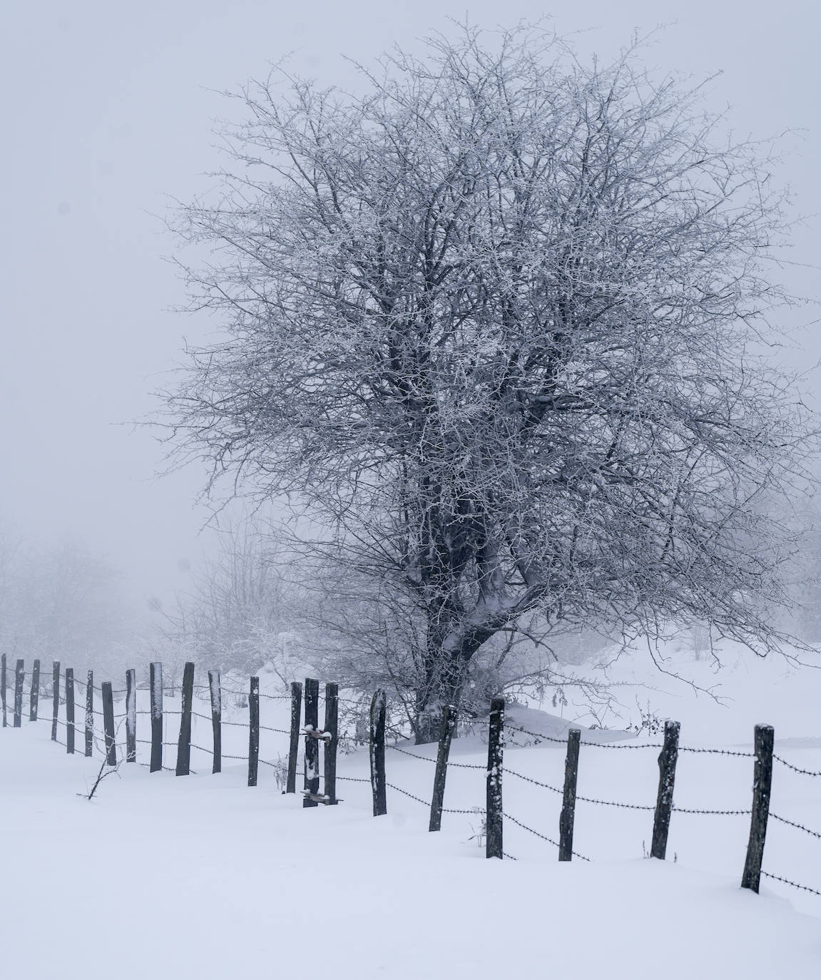 Nieve en Opakua.