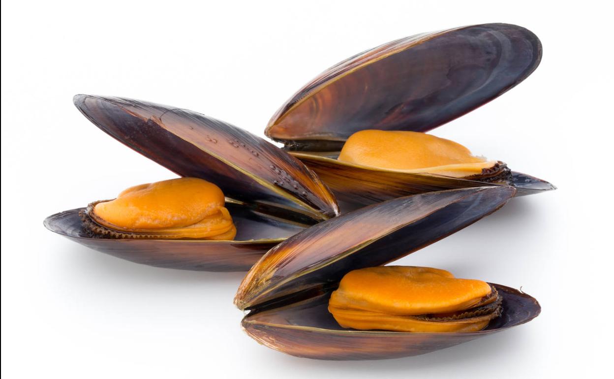 Superalimento: Mejillones, contra la depresión
