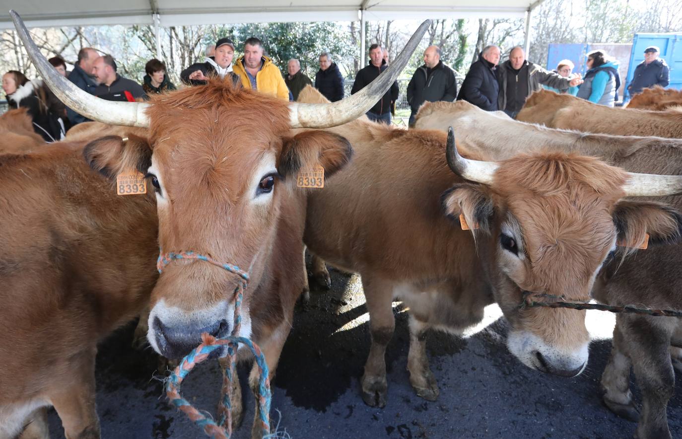 Las txoznas no han dejado de repartir comida y bebida. 